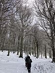 IMG_8495