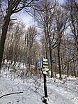 IMG_8496