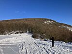 IMG_8497
