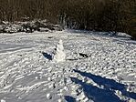IMG_8498