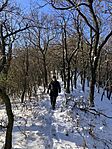IMG_8500