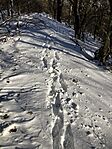 IMG_8502