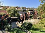 IMG_7788