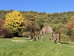 IMG_7794