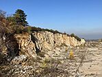 IMG_7826
