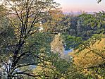 IMG_7845
