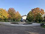 IMG_7910
