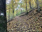 IMG_7951