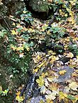 IMG_7957