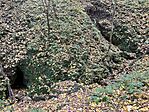 IMG_7958