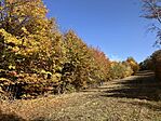 IMG_7960