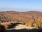 IMG_7963