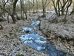 IMG_8637(1)
