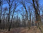 IMG_8640