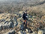 IMG_8644(1)