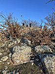 IMG_8645