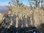 IMG_8647(1)