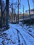 IMG_8650(1)