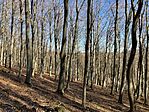 IMG_8653(1)