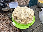 IMG_8677(1)