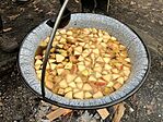 IMG_8682(1)