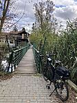 IMG_7564