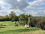 IMG_7570