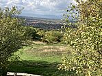 IMG_7571
