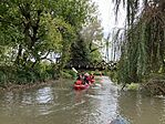 IMG_7586