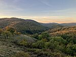 IMG_7628