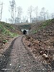 IMG_20241212_151230