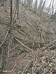 IMG_20241218_154429