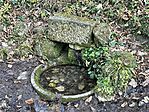 IMG_5174