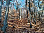 IMG_20241201_102056.jpg