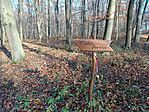 IMG_20241201_112746.jpg
