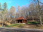 IMG_20241201_120358.jpg