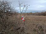 IMG_20241216_080708.jpg