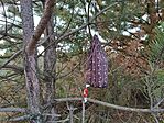 IMG_20241216_080616.jpg
