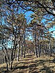 IMG_20241221_134800.jpg