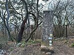 IMG_20241225_113020.jpg
