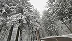 FB_IMG_1735421513167
