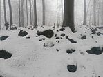 IMG_20241214_103409