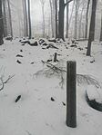 IMG_20241214_103342