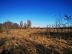 IMG_20241227_110548