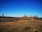 IMG_20241227_112542
