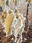 IMG_20241230_150909