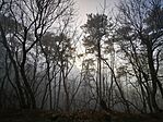 IMG_20241230_152320