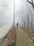 IMG_20241230_160142