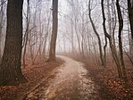 IMG_20241230_150854