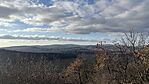 IMG_0969
